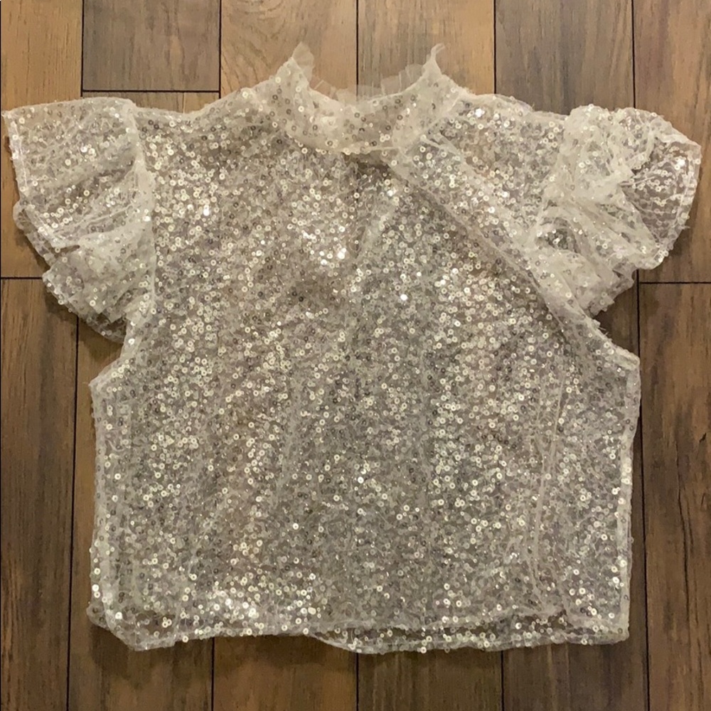 Zara Glitter Sequin Top